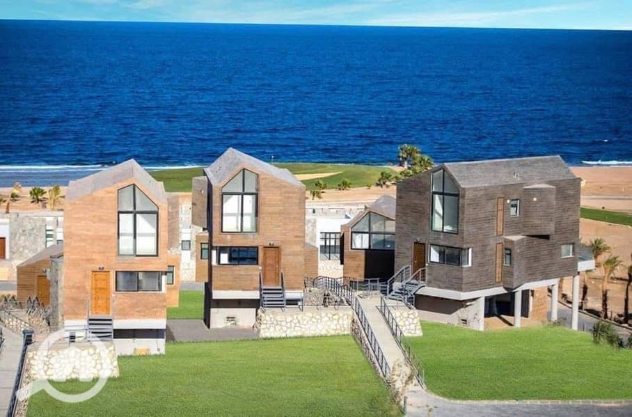 8 586060903_857574450143020_1779146180436991343_n. jpg