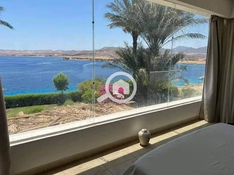 10 586900696_122152163300856691_871999455157735716_n. jpg