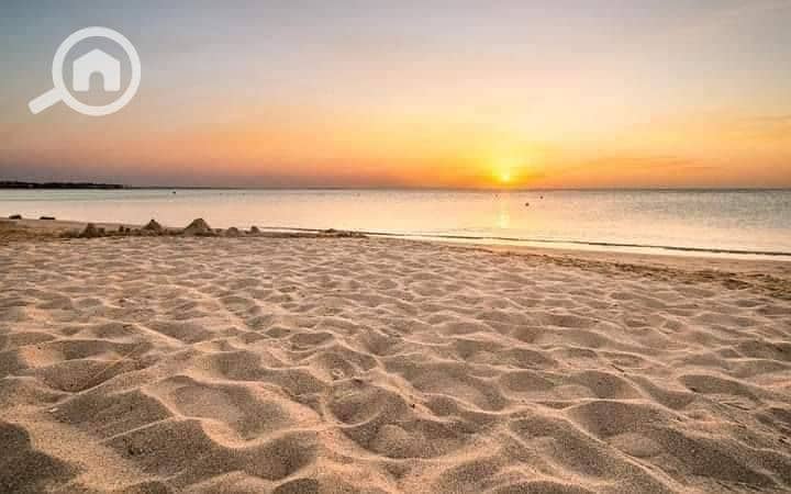 2 552219123_1325384345641572_3172559420686895910_n. jpg