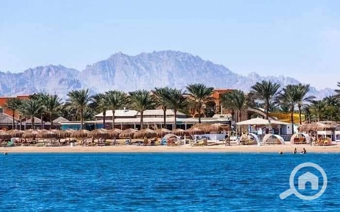 4 552419365_1325384098974930_1584526909051495601_n. jpg