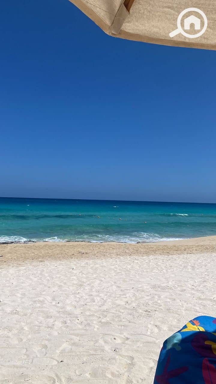 10 photo_2025-08-12_21-34-11. jpg