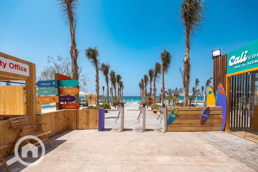 7 photo_2025-02-20_02-19-46. jpg