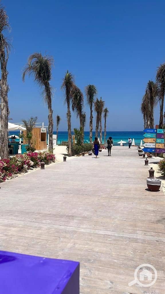 8 photo_2025-02-20_02-19-47 (2). jpg