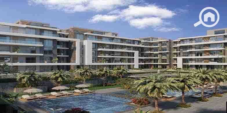 3 images - 2025-11-23T234332.347. jpeg