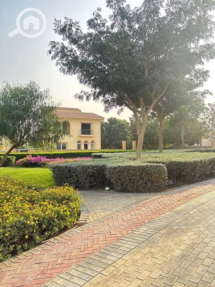 11 586884045_1520341945880025_263417583952565201_n. jpg