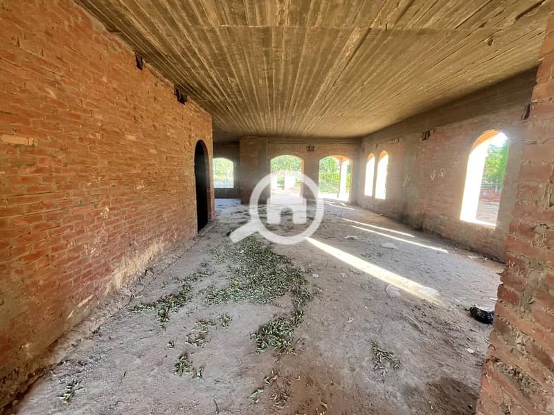 4 WhatsApp Image 2025-02-11 at 11.48. 17 PM. jpeg