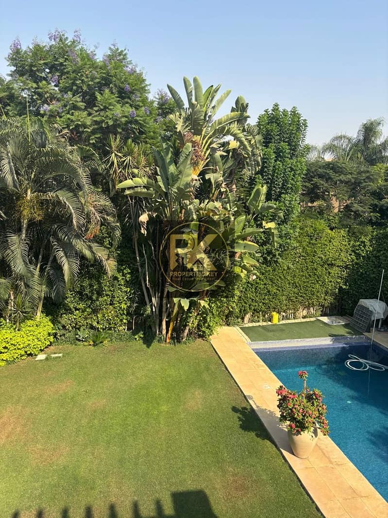 6 4910DB11-62DE-4DED-B2A5-54C04BB50062. jpeg