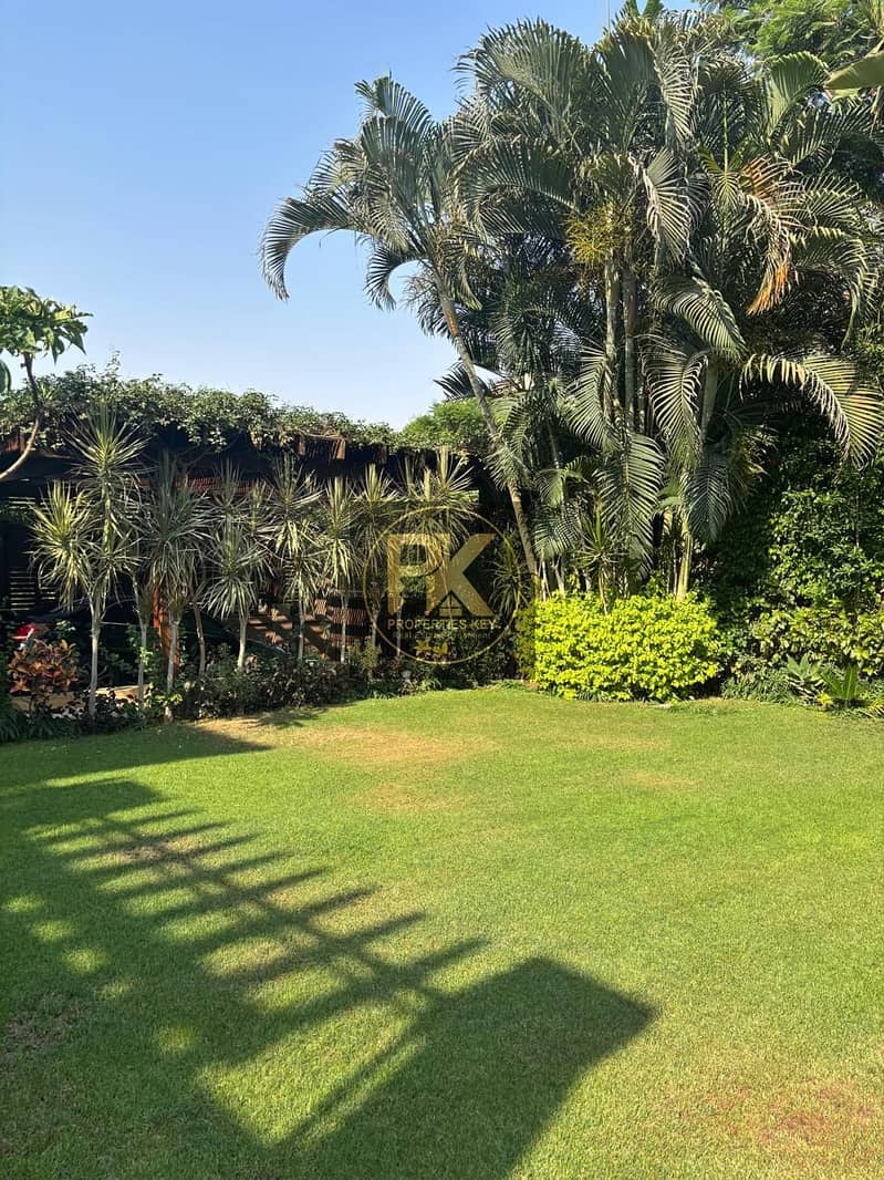 11 BE04F1E1-EF7F-4E11-BC57-71EDCBC7EFFB. jpeg