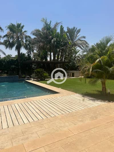 5 Bedroom Villa for Rent in New Cairo, Cairo - WhatsApp Image 2025-11-23 at 1.58. 00 PM (2). jpeg