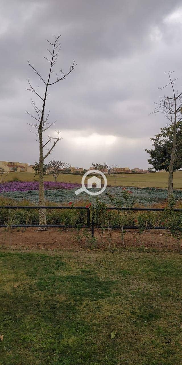 3 118306974_781917572600494_7298868411803811741_n. jpg