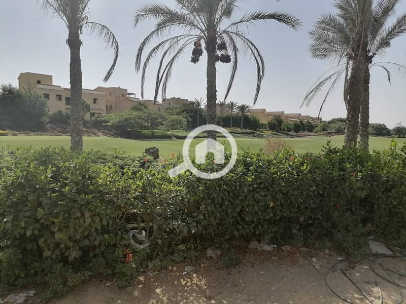 11 241637518_1044239999701582_416944264607638927_n. jpg