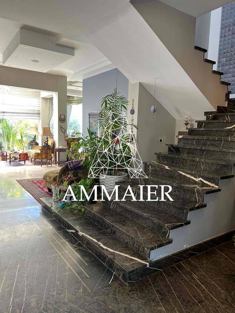 4 8ad879f0-cab3-489e-baf2-cc9631701027. jpg