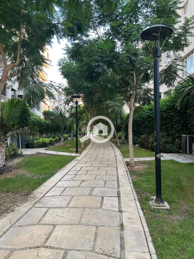 5 c4171d1d-836d-49a9-bdd2-5edc3e81dc12. jpg