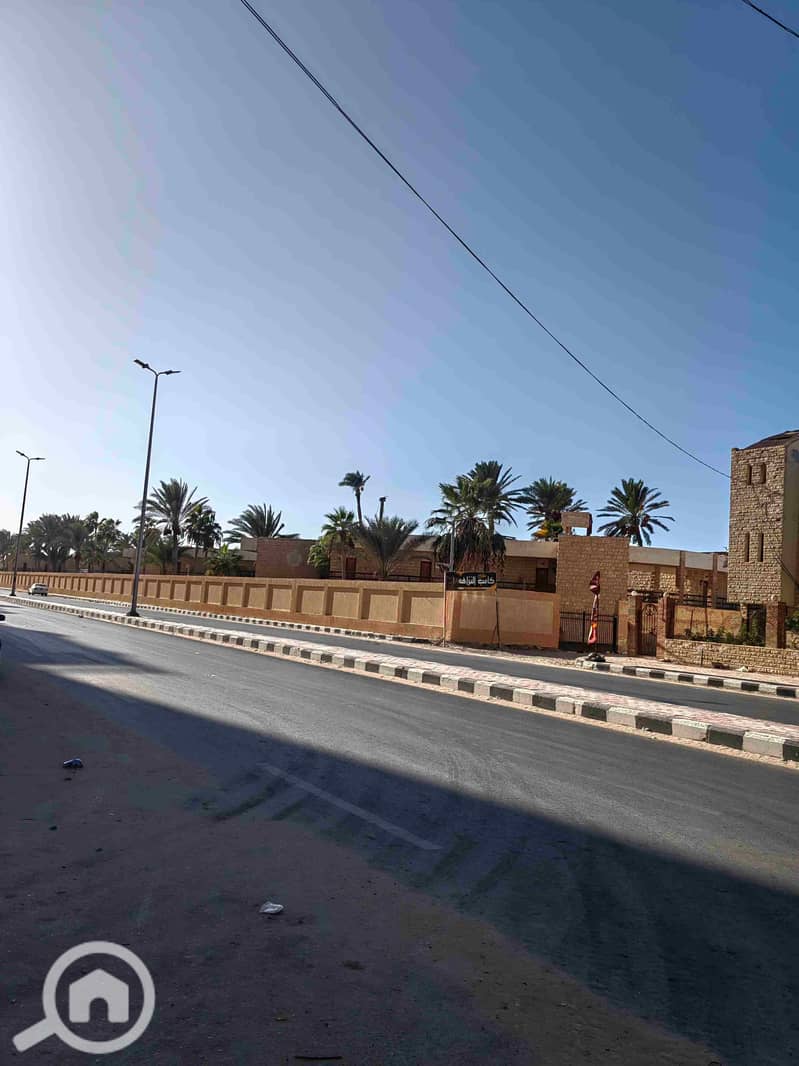 10 IMG_20251009_162406. jpg