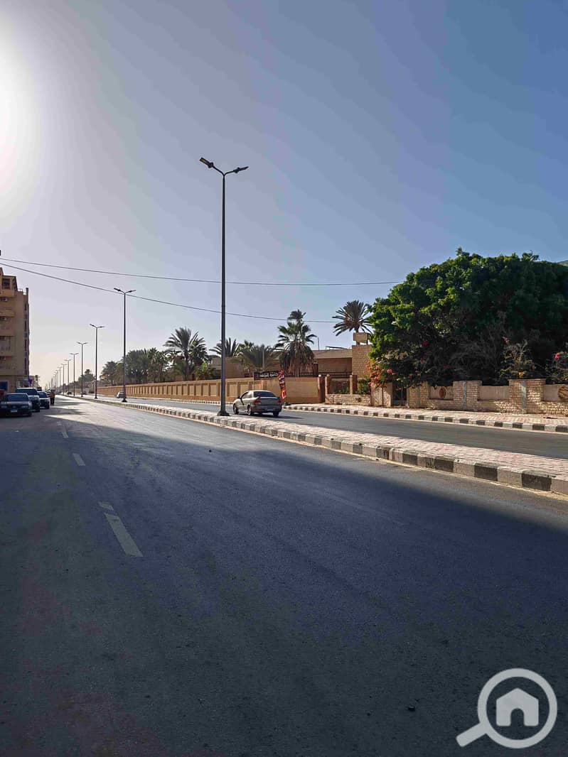 11 IMG_20251009_162449. jpg