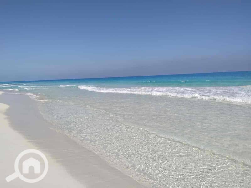 11 fa42f2f9-7998-4c2c-9aad-acd819903195. jpg