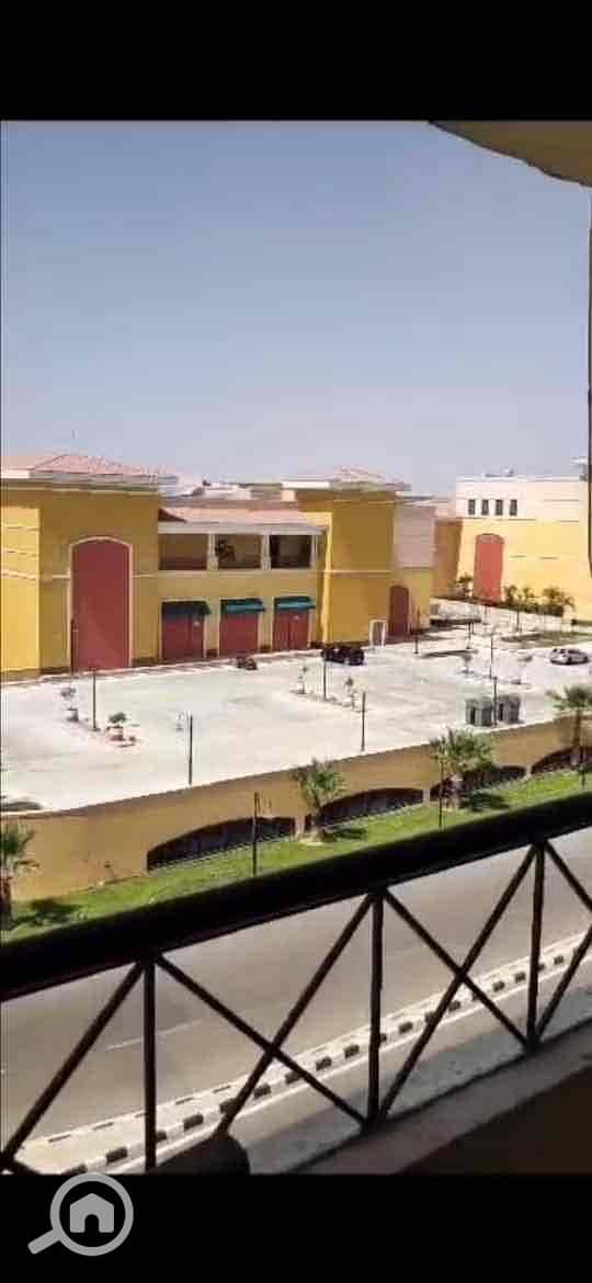 5 39b8c908-faf1-4dff-b2fc-25d6b965268c. jpg