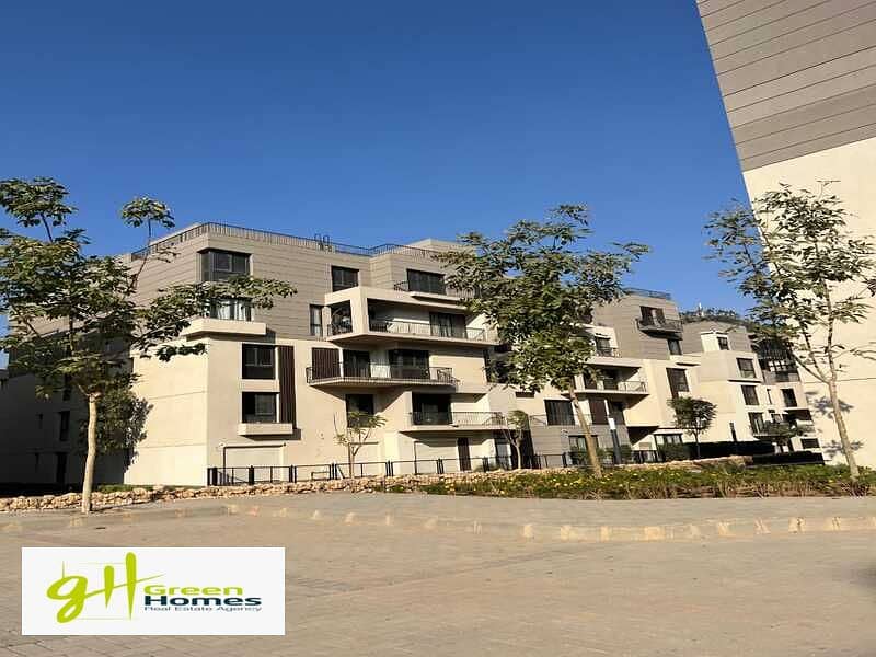 12 WhatsApp Image 2025-03-03 at 13.16. 47. jpeg