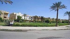 images. jpg images. jpg