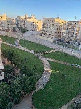 2 116390263-400x300. jpg