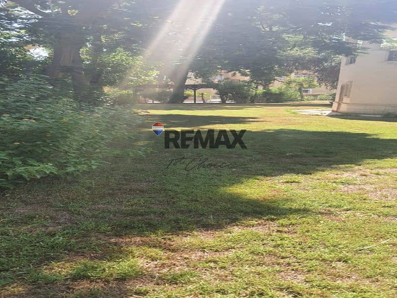 4 9c990689-f544-4f53-8603-b738733e6fcb. jpg