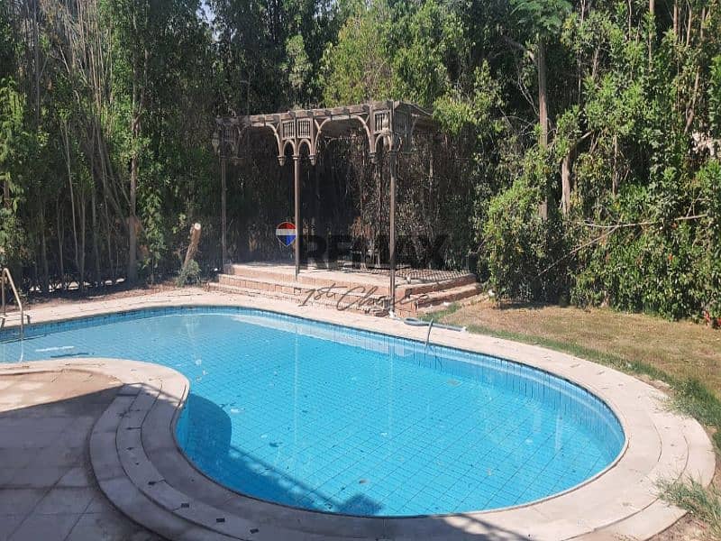 5 133f0b0e-5b1b-4ff3-89d5-f16d63547b32. jpg