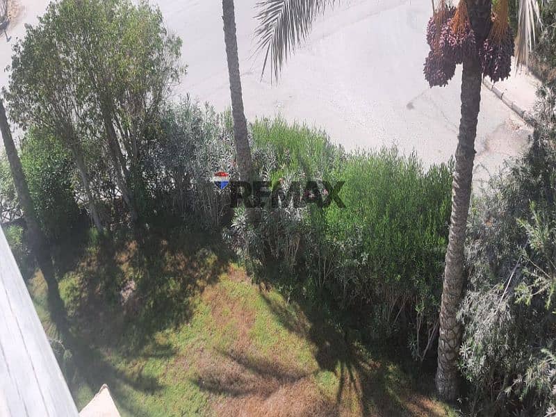 12 25a8e134-d465-40bd-b840-c8ee2f6fc4e7. jpg