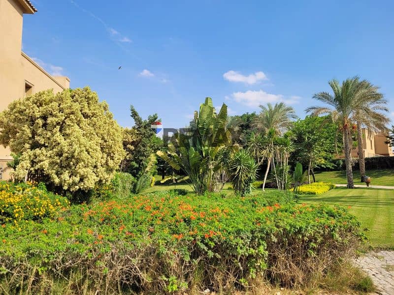 3 2c0882e2-bbd9-4db4-b968-03d44a2e01e6. jpg