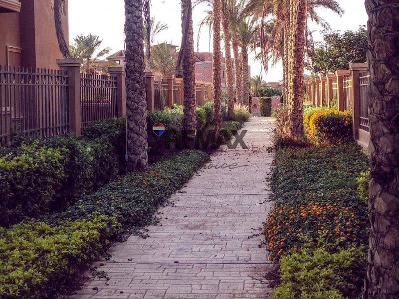 3 03-1-1-1024x682. jpg