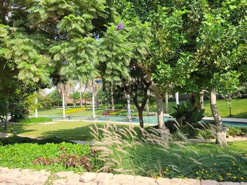 4 f88705ea-5dd3-477d-a2a8-da7d43c27c7e. jpg