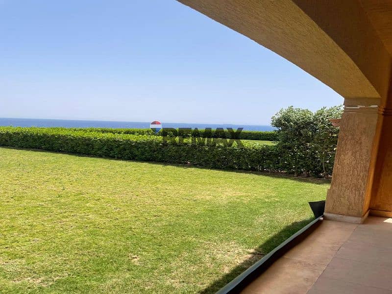 3 ddd72b17-c74d-4613-b81d-b660813db356. jpg