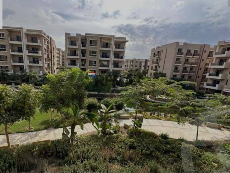 8 f81291a9-04c5-424e-a157-8f4b690ff0b5. jpg