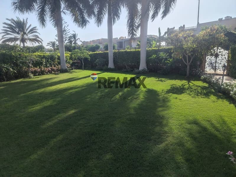 3 455007d1-8c2a-4fe4-a134-c3a42580f0d9. jpg