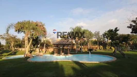 5 Bedroom Villa for Sale in New Cairo, Cairo - 45d62cad-3615-4a3e-9639-59e05175a2b1. jpg 5 Bedroom Villa for Sale in New Cairo, Cairo - 45d62cad-3615-4a3e-9639-59e05175a2b1. jpg