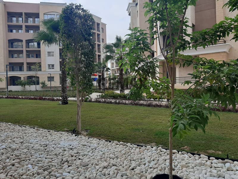 3 be8953d5-b13b-4726-aecd-f6473b98161d. jpg