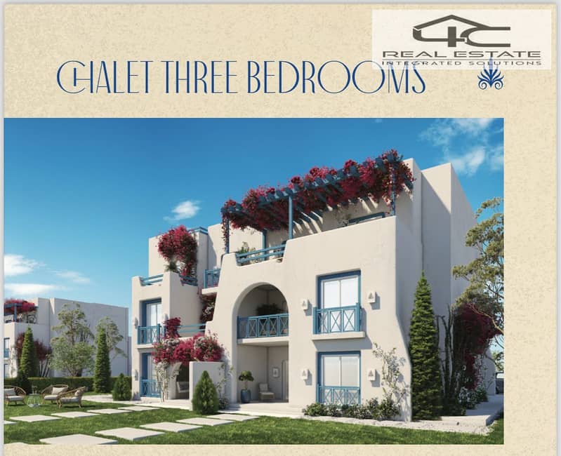 12 ad242cdb-09c6-4b69-b75d-eb0d50e6444e. jpg