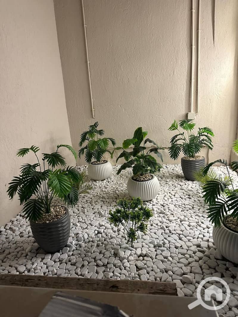 2 WhatsApp Image 2025-09-22 at 07.14. 18_769ca97a. jpg