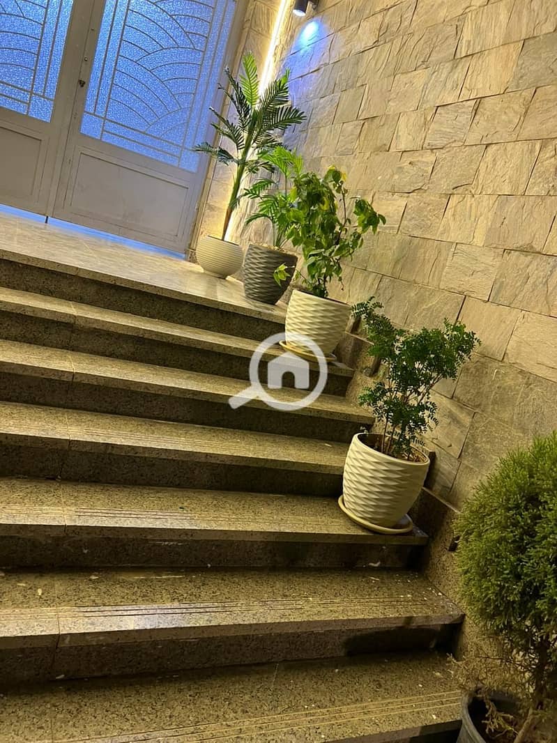 3 WhatsApp Image 2025-09-22 at 07.14. 18_b7623a95. jpg