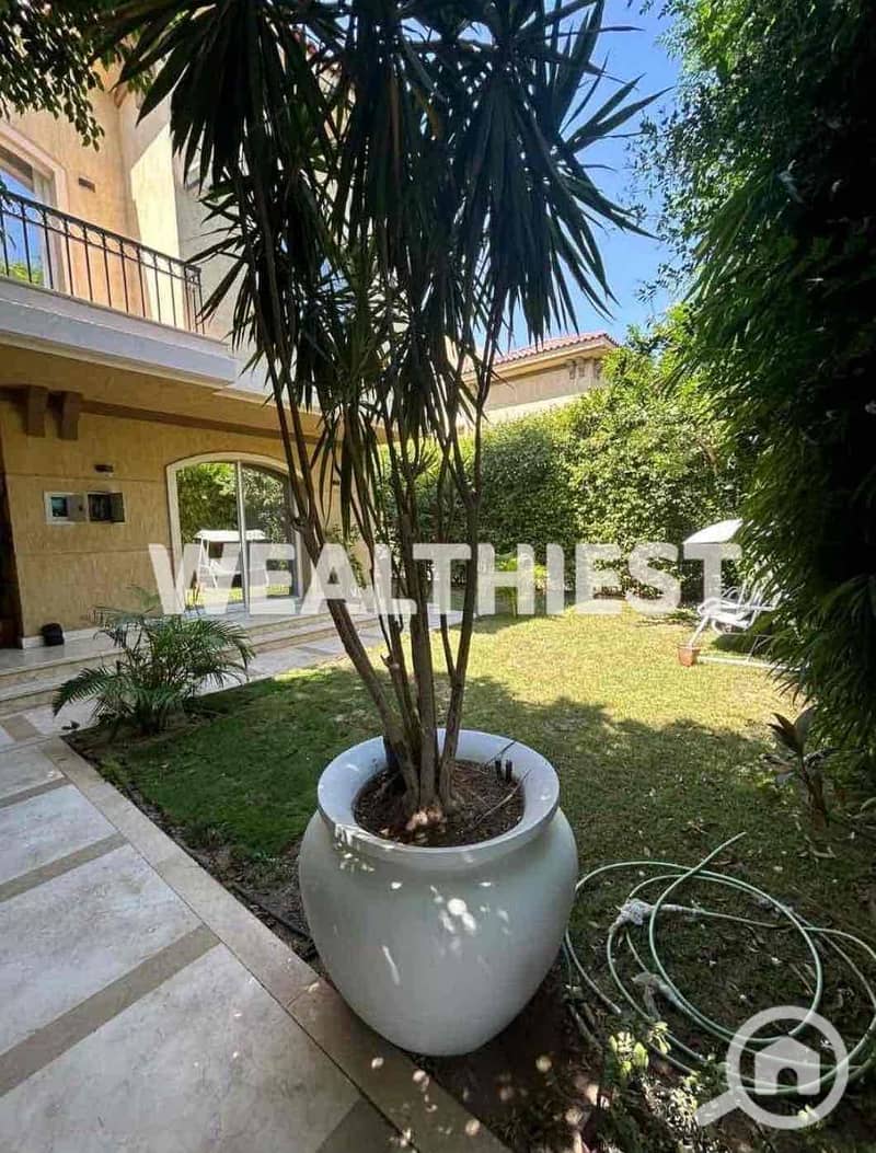 13 ab3b5230-9581-417d-bfe0-570af5802395. jpg