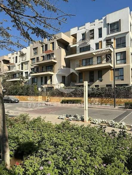 10 558921470_122193159254324160_7927345129061923888_n. jpg