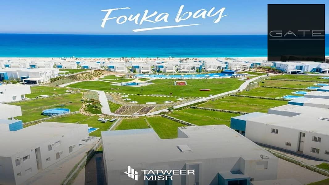 2 WhatsApp Image 2024-02-01 at 10.47. 22 AM (1). jpeg