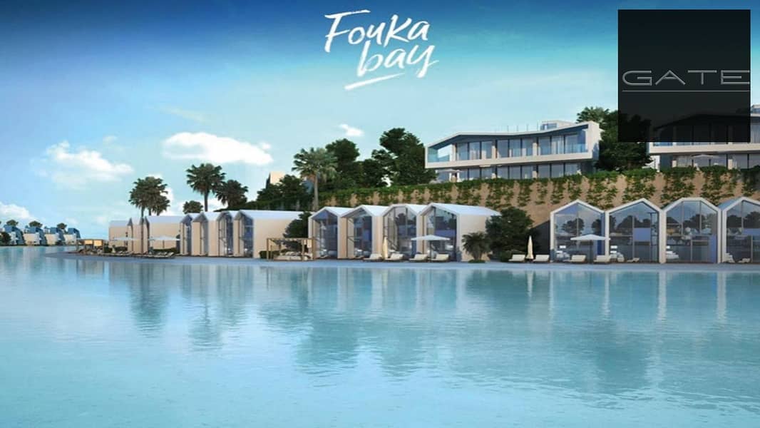 6 WhatsApp Image 2024-02-01 at 10.47. 22 AM (5). jpeg