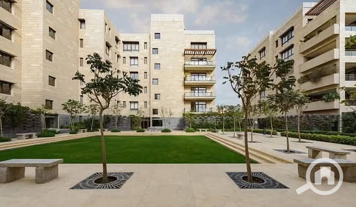 6 FB_IMG_1741090898831. jpg