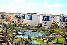 8 تنزيل (4). jpeg