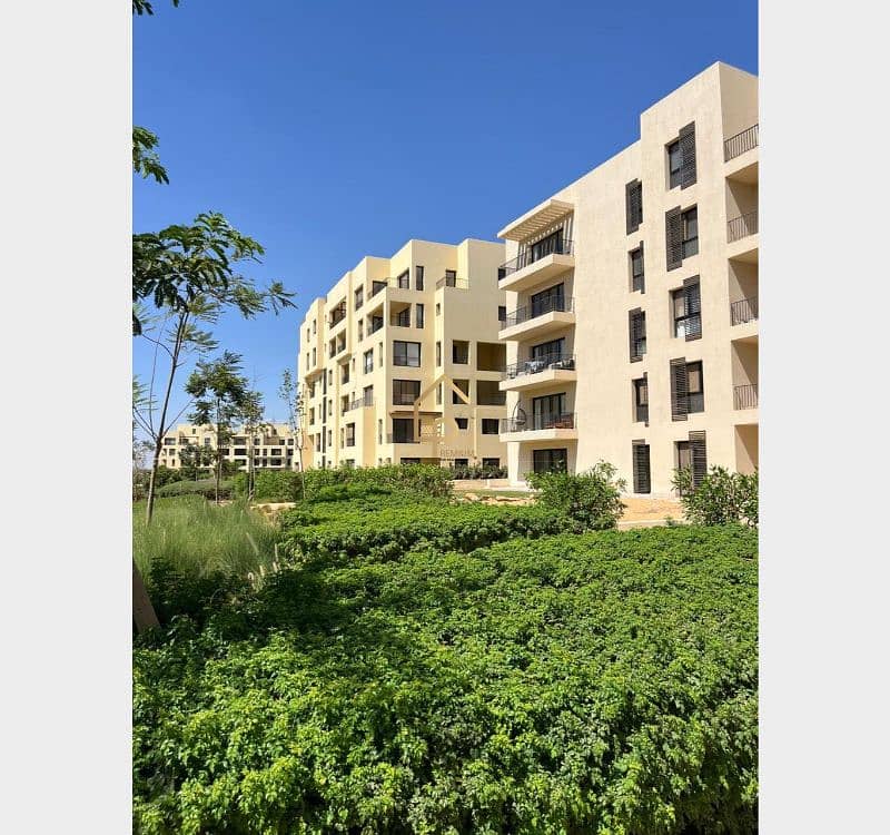 3 546105356_24512073965119193_8833539431949757026_n. jpg