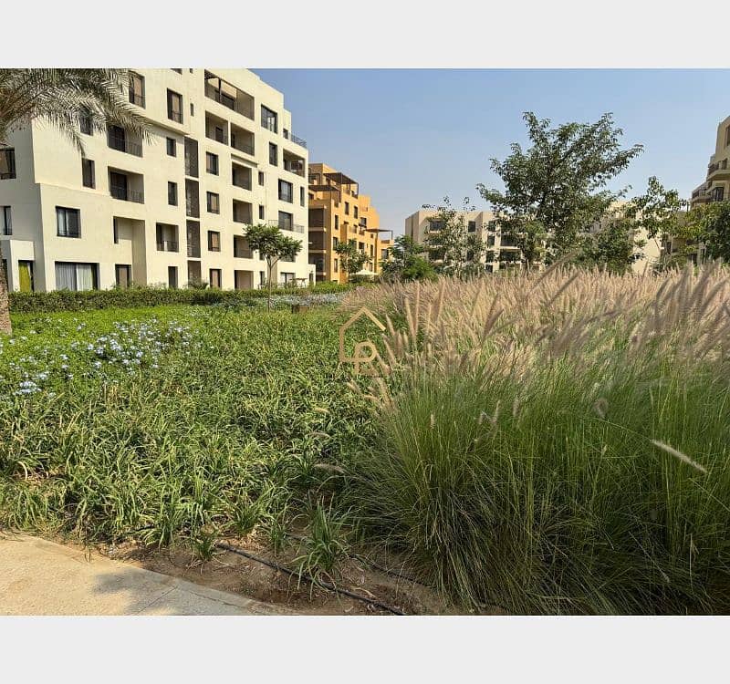 7 552817250_2292541181196161_562428048760206575_n. jpg