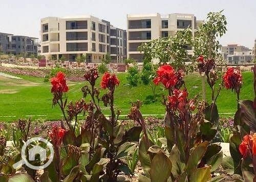 10 WhatsApp Image 2025-09-20 at 3.49. 57 PM (1). jpeg