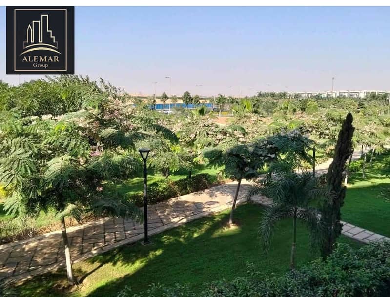 IMG_2352. jpg IMG_2352. jpg