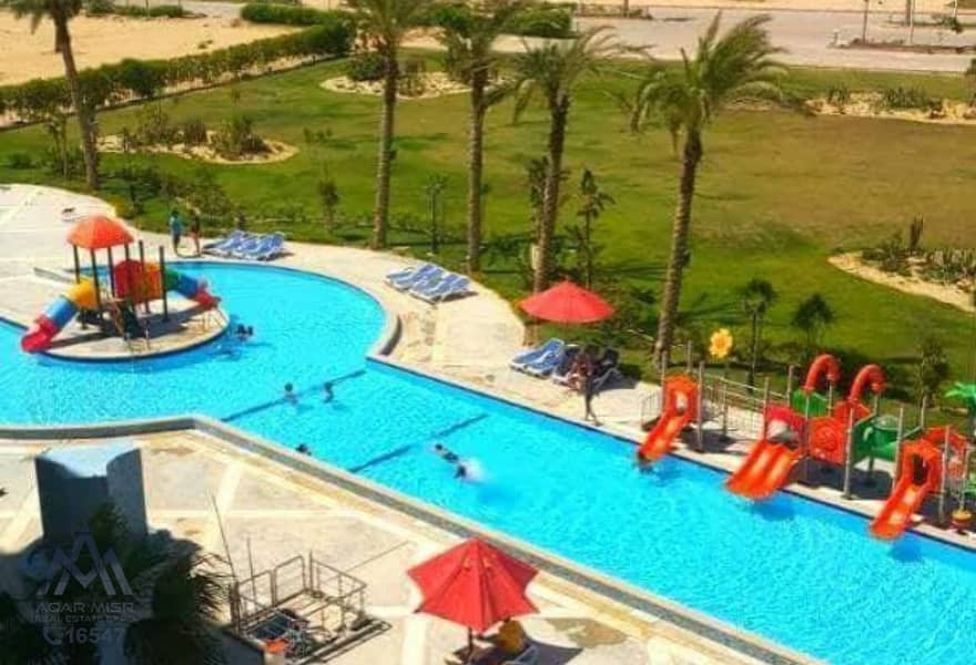 12 d5b8e5b3-e76f-4ac2-9594-a91569f4301a. jpg