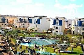 7 تنزيل (4). jpeg